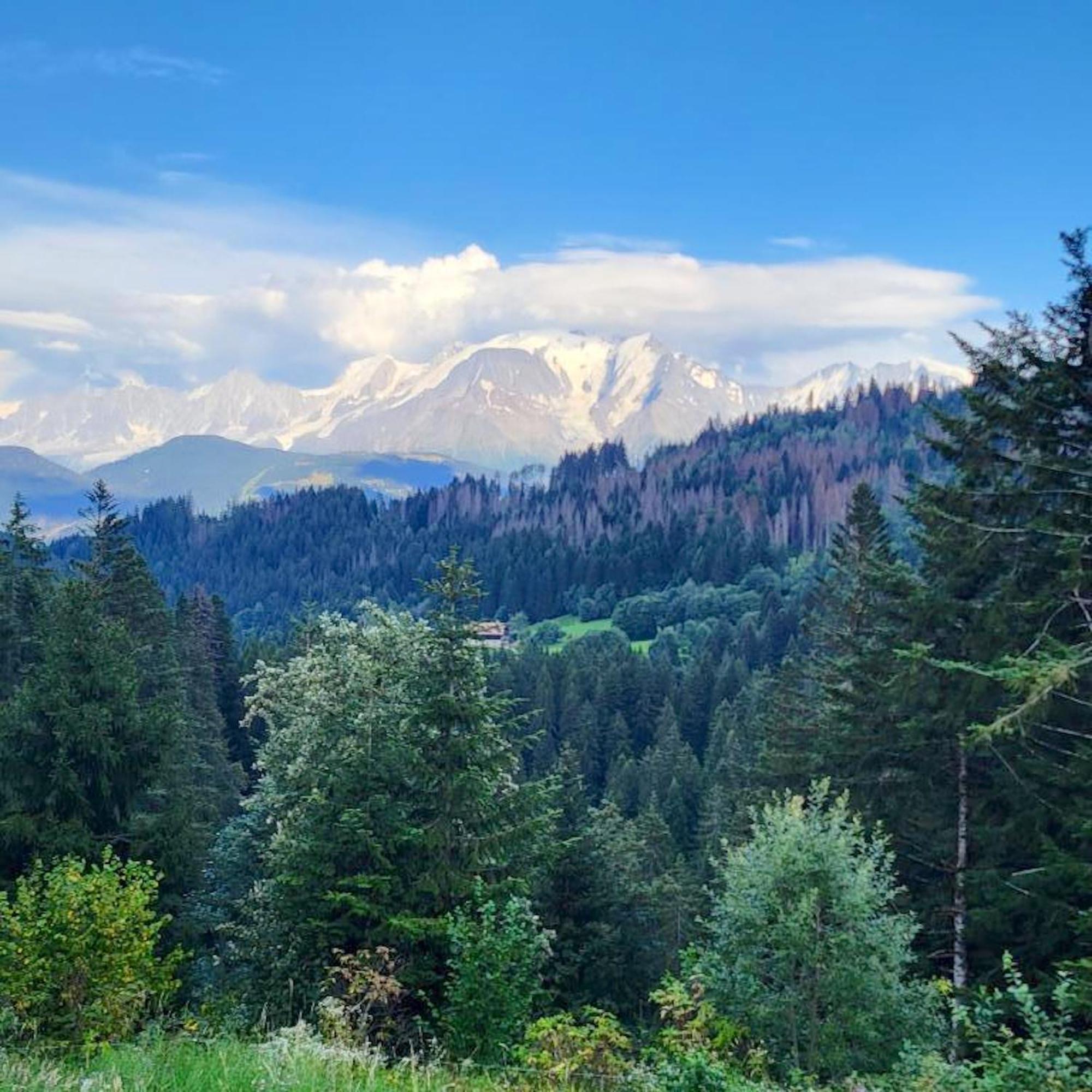 Studio Accueillant A Cordon Vue Mont Blanc 22 M² Parking Inclus Bagian luar foto